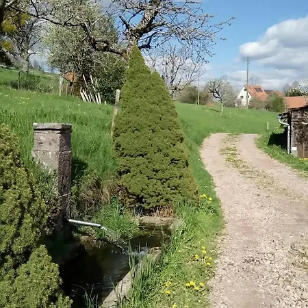 Lägenhet Haus-der-ruhe-und-des-weitblickes Kleines Wiesental