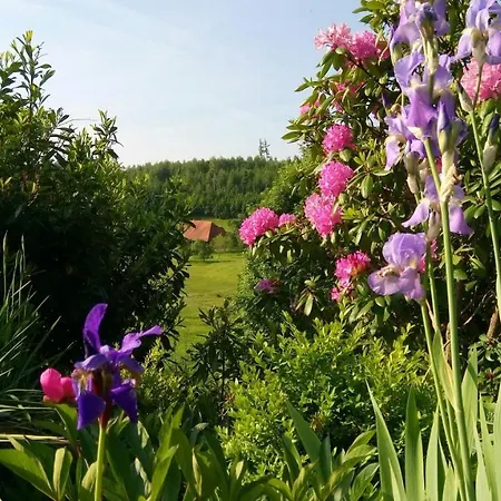 Haus-der-ruhe-und-des-weitblickes Lägenhet Kleines Wiesental